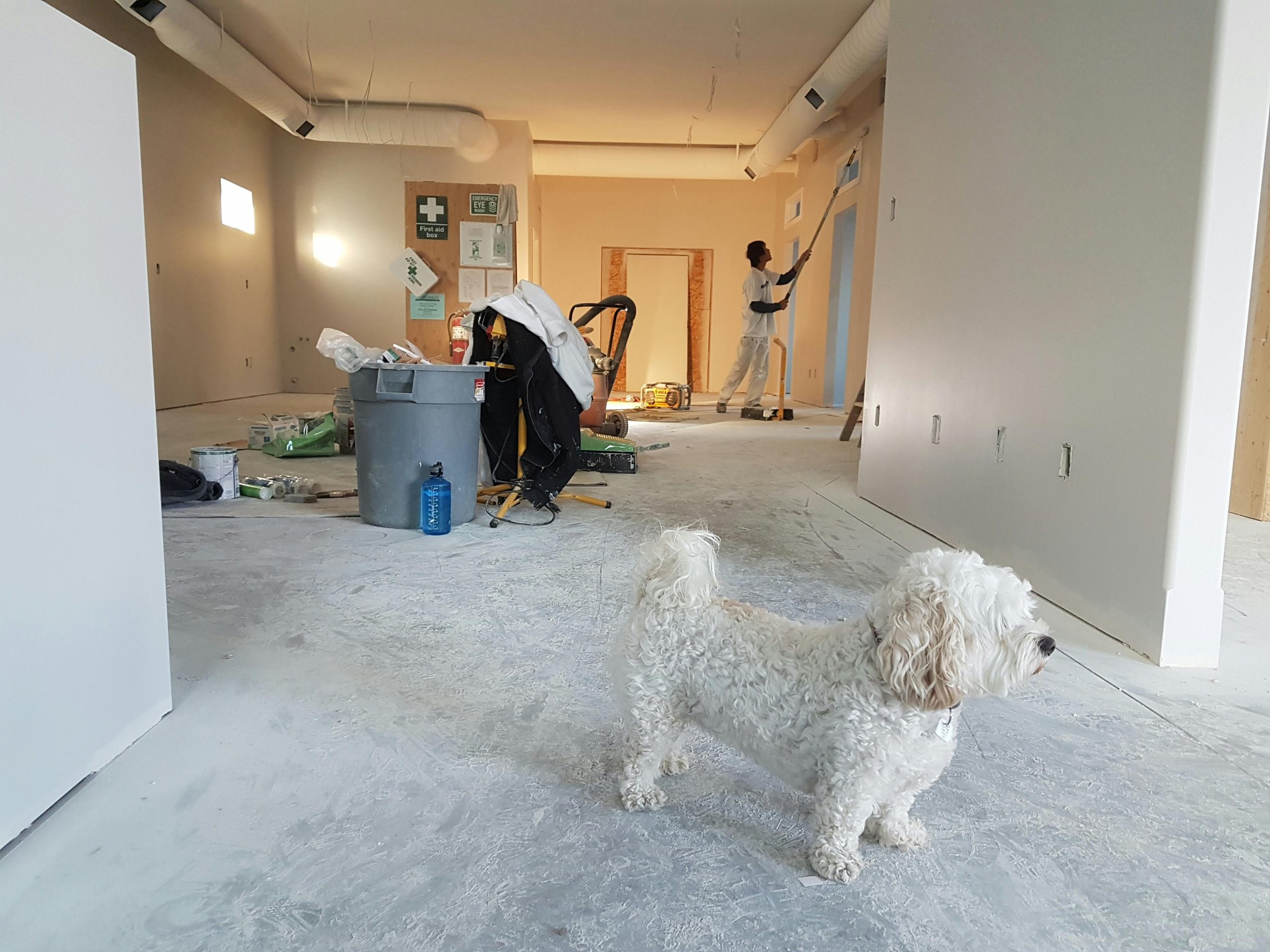 The Ultimate Guide to Budget-Friendly Home Renovations